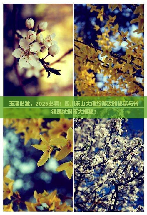 玉溪到四川乐山大佛旅行社
