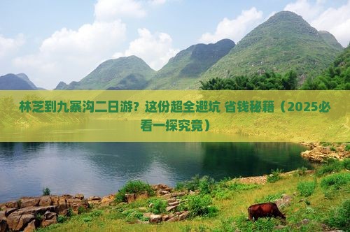 林芝去四川九寨沟二日游