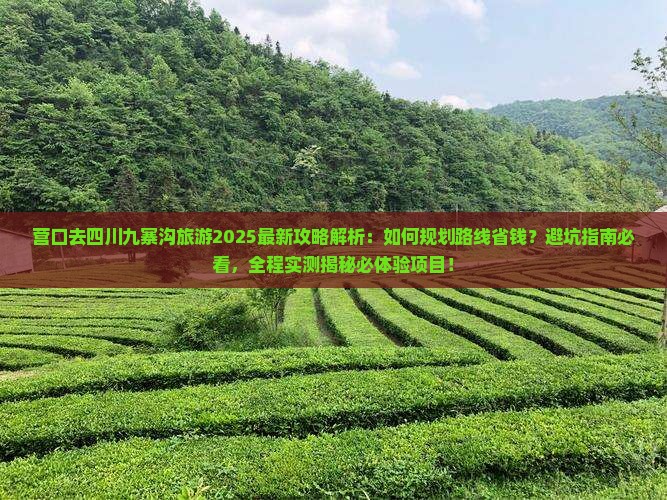 营口去四川九寨沟旅游