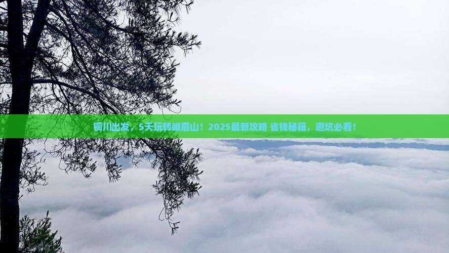 铜川到四川峨眉山五日游