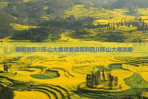 德阳到四川乐山大佛攻略