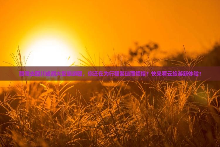 醴陵去四川成都大型旅游团