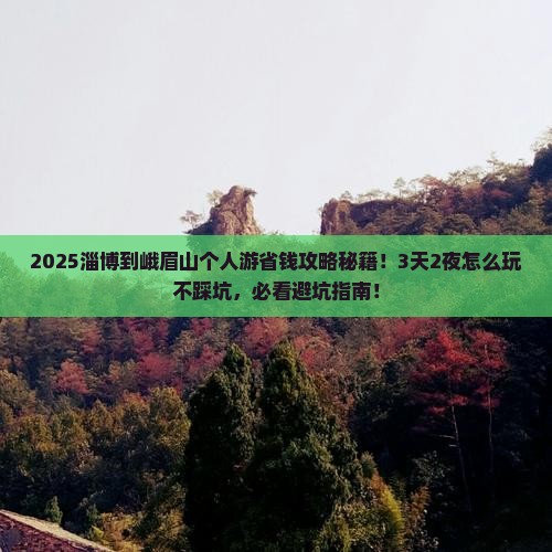 淄博到四川峨眉山个人游