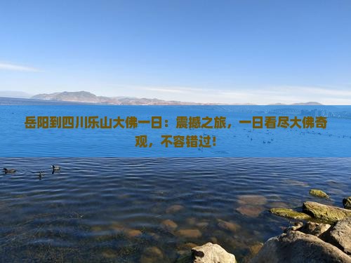 岳阳到四川乐山大佛一日