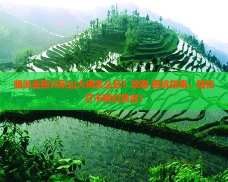 临汾去四川乐山大佛景点