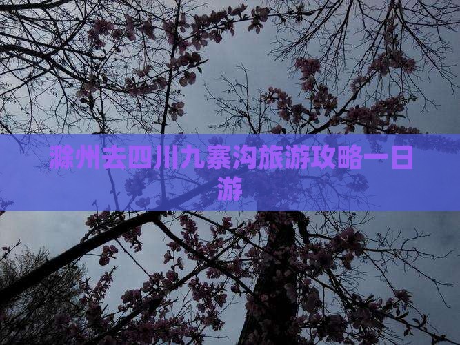 滁州去四川九寨沟一日