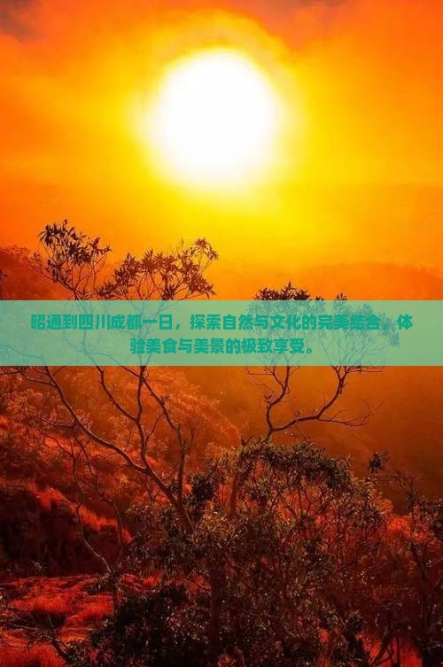 昭通到四川成都一日