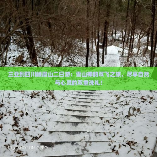 三亚到四川峨眉山二日游