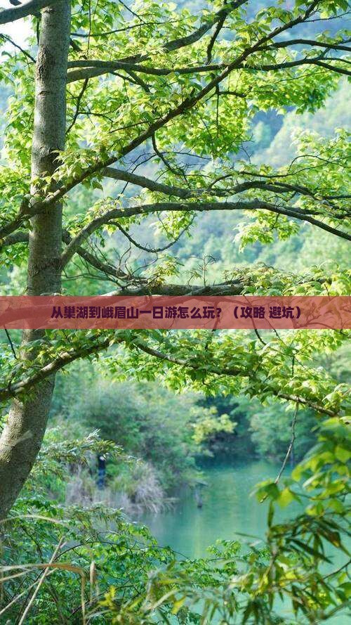 巢湖去四川峨眉山一日