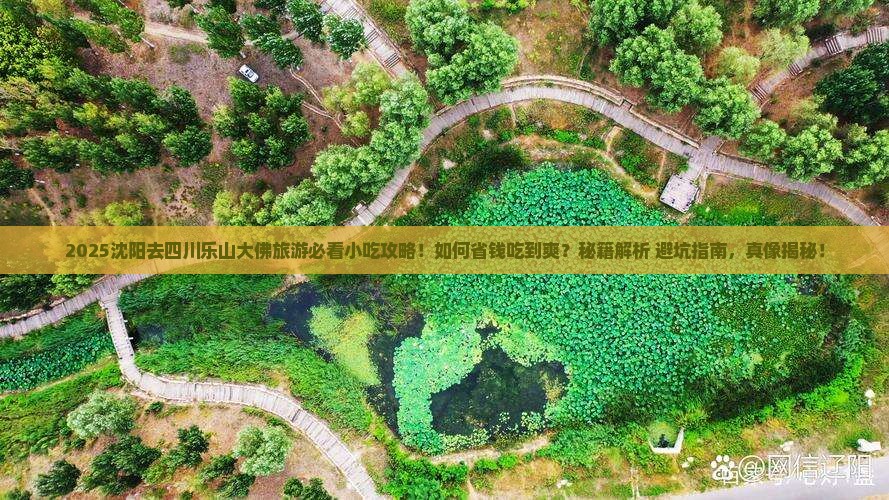 沈阳去四川乐山大佛旅游小吃