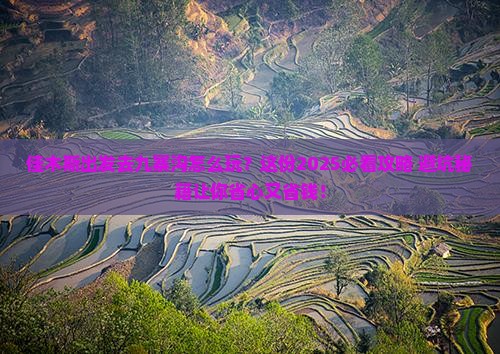 佳木斯到四川九寨沟旅行社
