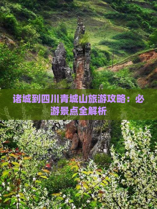 诸城到四川青城山个人游