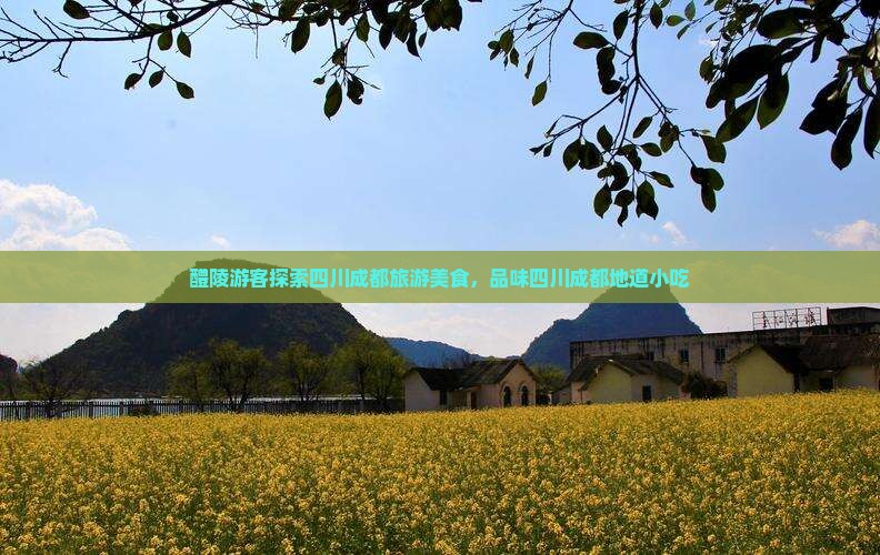 醴陵去四川成都旅游小吃