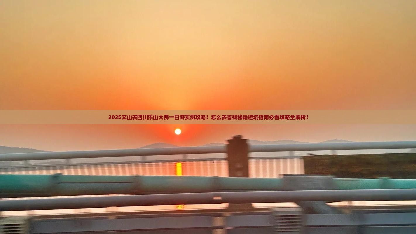 文山去四川乐山大佛一日