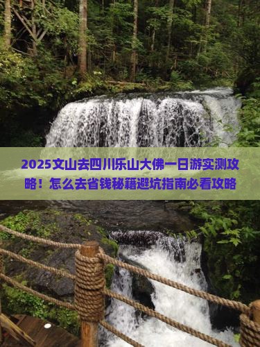文山去四川乐山大佛一日