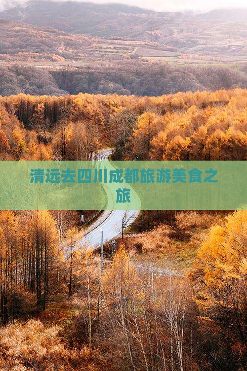 清远去四川成都旅游小吃