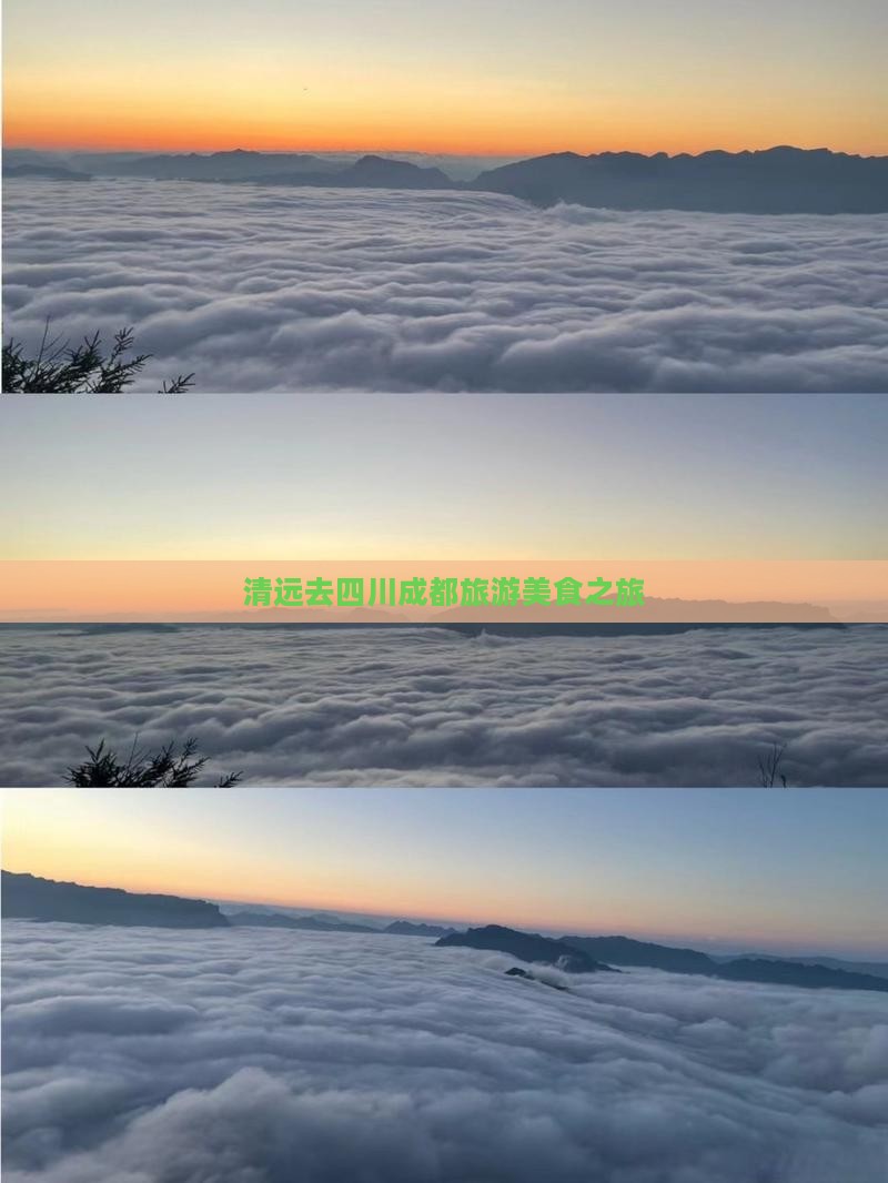清远去四川成都旅游小吃