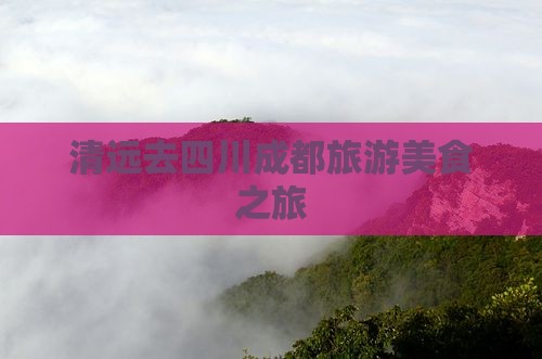 清远去四川成都旅游小吃