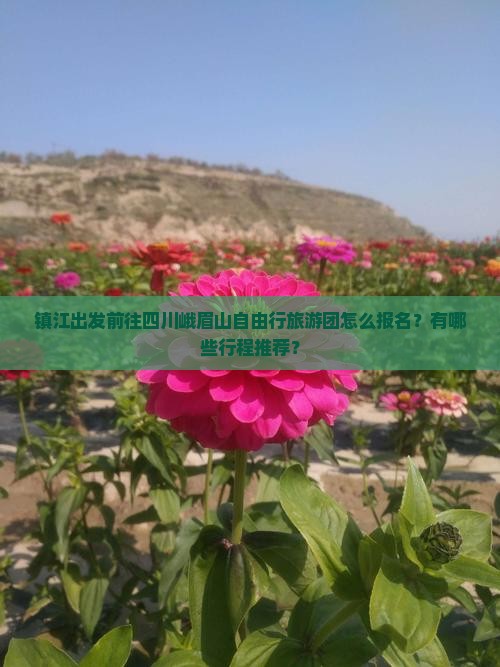 镇江出发前往四川峨眉山自由行旅游团怎么报名？有哪些行程推荐？