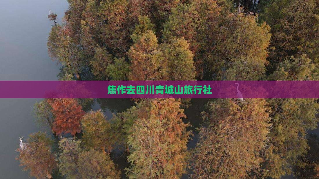 焦作去四川青城山旅行社