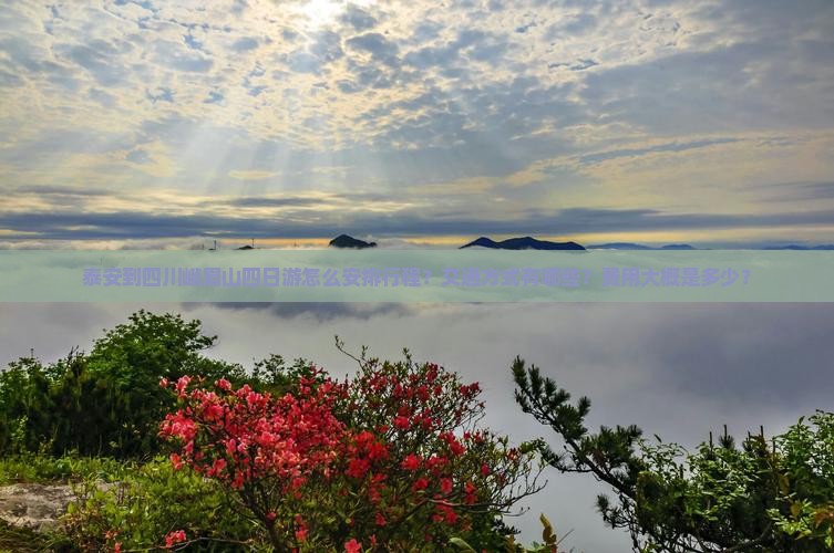 泰安到四川峨眉山四日游怎么安排行程？交通方式有哪些？费用大概是多少？
