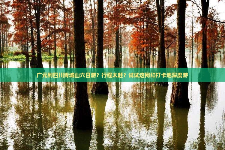 广元到四川青城山六日游？行程太赶？试试这网红打卡地深度游