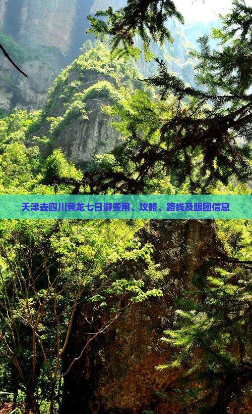 天津去四川黄龙七日游费用、攻略、路线及跟团信息