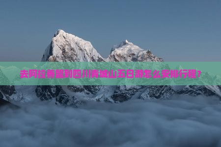 去阿拉善盟到四川青城山五日游怎么安排行程？