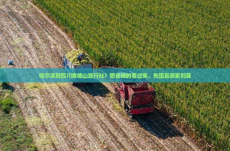 哈尔滨到四川青城山旅行社？想省钱的看过来，先囤后游更划算