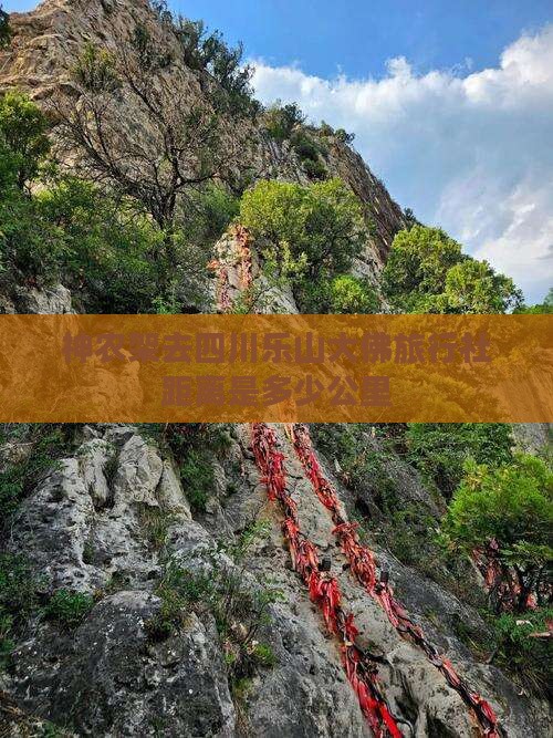 神农架去四川乐山大佛旅行社距离是多少公里