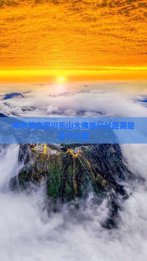 神农架去四川乐山大佛旅行社距离是多少公里