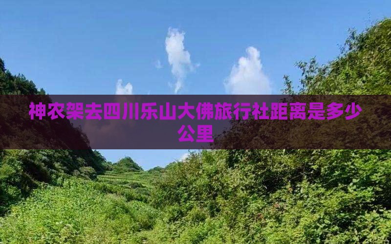 神农架去四川乐山大佛旅行社距离是多少公里
