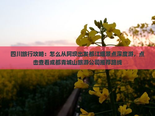 四川旅行攻略：怎么从阿坝出发都江堰景点深度游，点击查看成都青城山旅游公司推荐路线