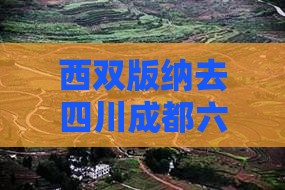 西双版纳去四川成都六日游：美食美景全体验