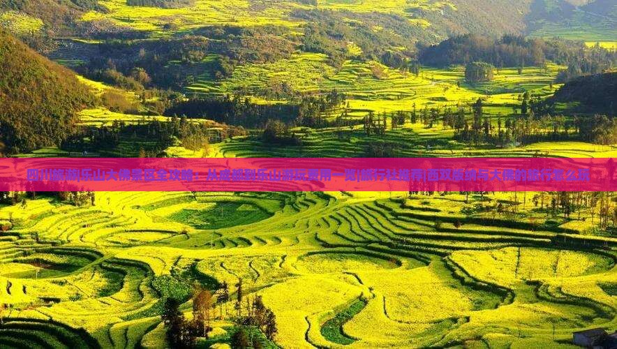 四川旅游|乐山大佛景区全攻略：从成都到乐山游玩费用一览|旅行社推荐|西双版纳与大佛的旅行怎么玩