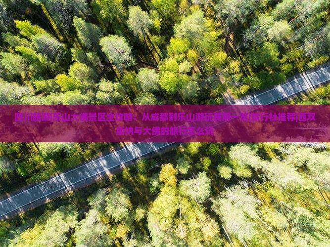 四川旅游|乐山大佛景区全攻略：从成都到乐山游玩费用一览|旅行社推荐|西双版纳与大佛的旅行怎么玩