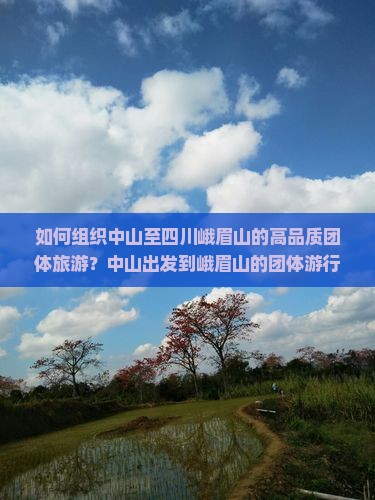 如何组织中山至四川峨眉山的高品质团体旅游？中山出发到峨眉山的团体游行程安排是怎样的？