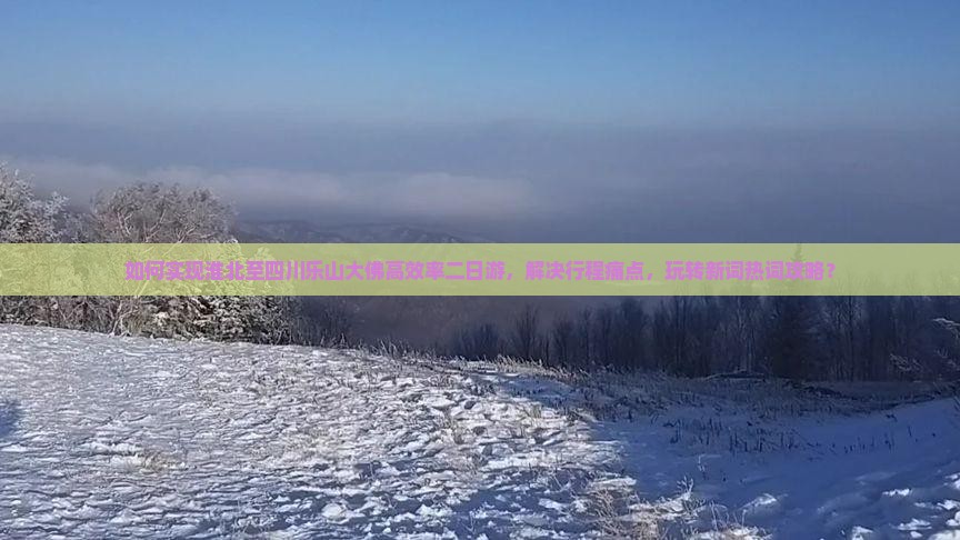 如何实现淮北至四川乐山大佛高效率二日游，解决行程痛点，玩转新词热词攻略？
