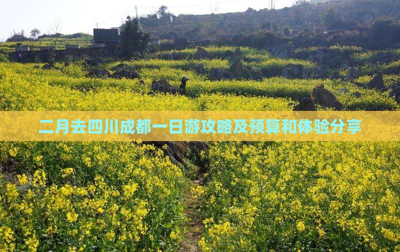 二月去四川成都一日游攻略及预算和体验分享