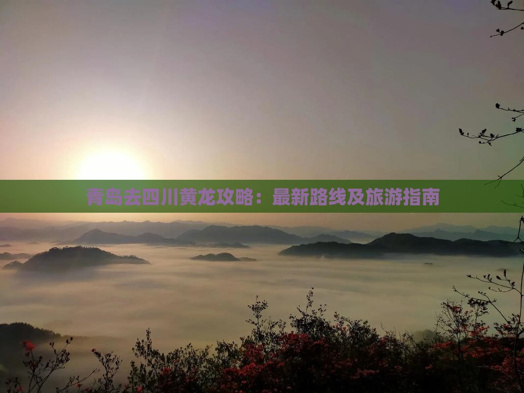 青岛去四川黄龙攻略：最新路线及旅游指南