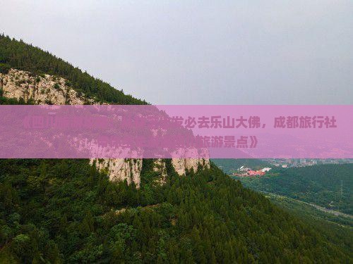 《四川旅游攻略：从林芝出发必去乐山大佛，成都旅行社带你坐车游遍四川旅游景点》