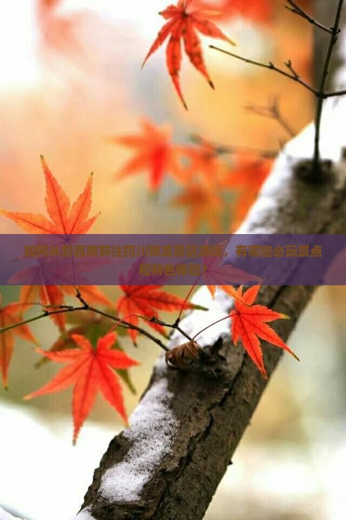 如何从黔西南前往四川黄龙景区游玩，有哪些必玩景点和特色体验？