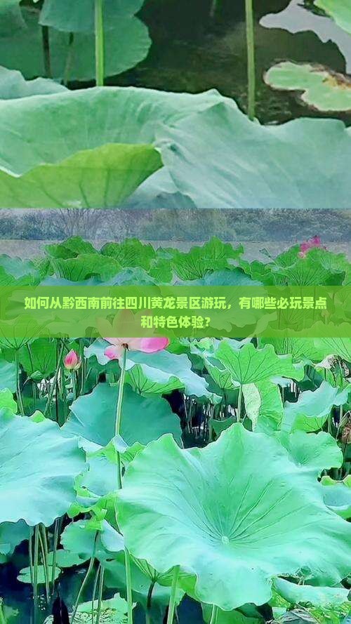 如何从黔西南前往四川黄龙景区游玩，有哪些必玩景点和特色体验？