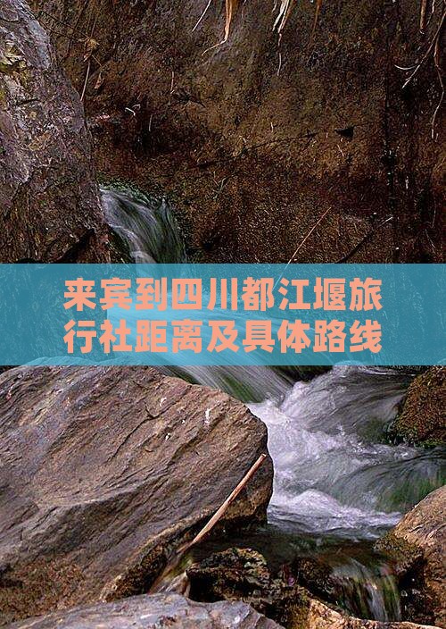 来宾到四川都江堰旅行社距离及具体路线指南