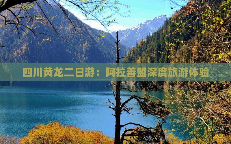 四川黄龙二日游：阿拉善盟深度旅游体验