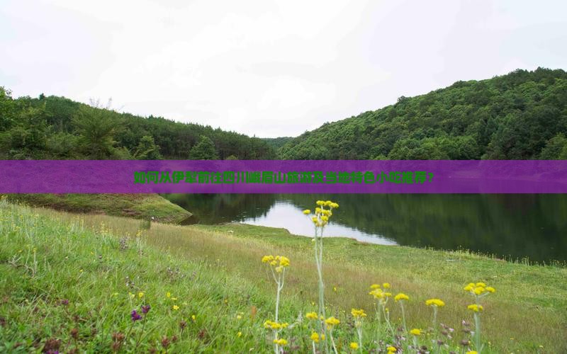如何从伊犁前往四川峨眉山旅游及当地特色小吃推荐？