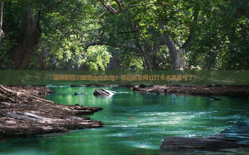 随州到四川峨眉山必去地？错过这些网红打卡点真是亏了！