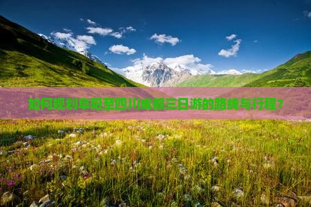 如何规划阜阳至四川成都三日游的路线与行程？