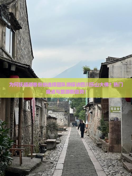 为何抚顺游客纷纷选择团队游探访四川乐山大佛？热门痛点与旅游新趋势！