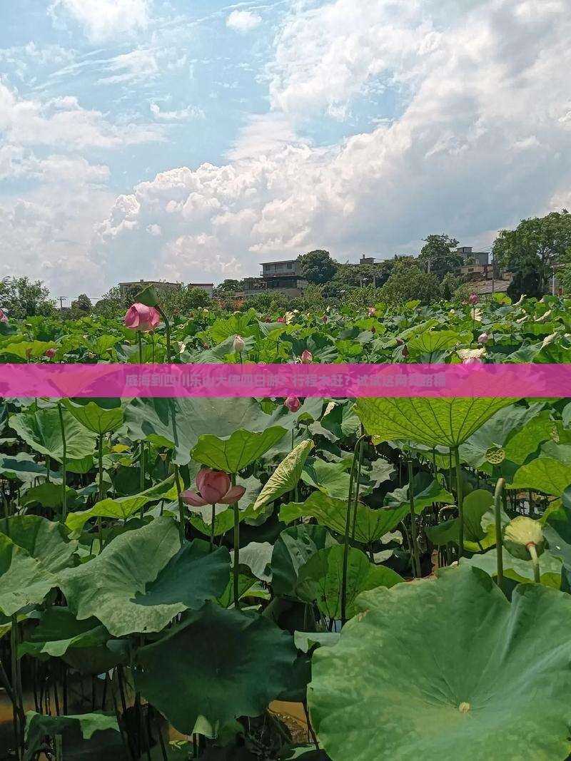 威海到四川乐山大佛四日游？行程太赶？试试这网红路稀